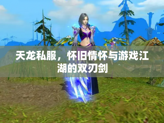 天龙私服，怀旧情怀与游戏江湖的双刃剑