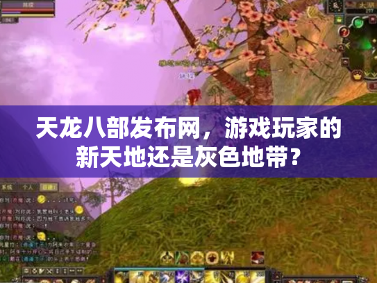 天龙八部发布网，游戏玩家的新天地还是灰色地带？