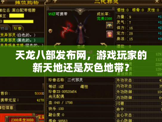 天龙八部发布网，游戏玩家的新天地还是灰色地带？