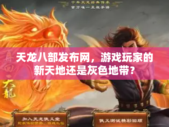 天龙八部发布网，游戏玩家的新天地还是灰色地带？