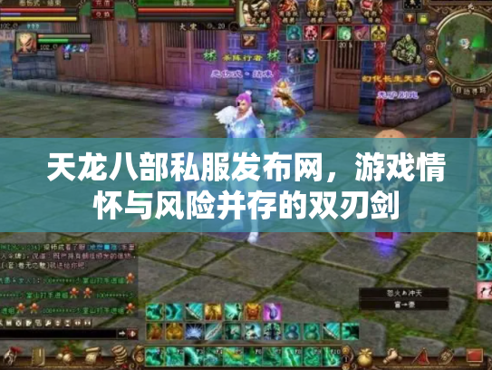 天龙八部私服发布网，游戏情怀与风险并存的双刃剑