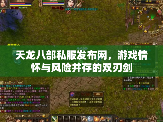 天龙八部私服发布网，游戏情怀与风险并存的双刃剑