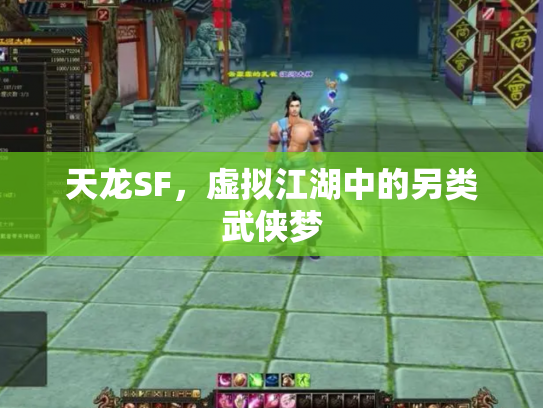 天龙SF，虚拟江湖中的另类武侠梦