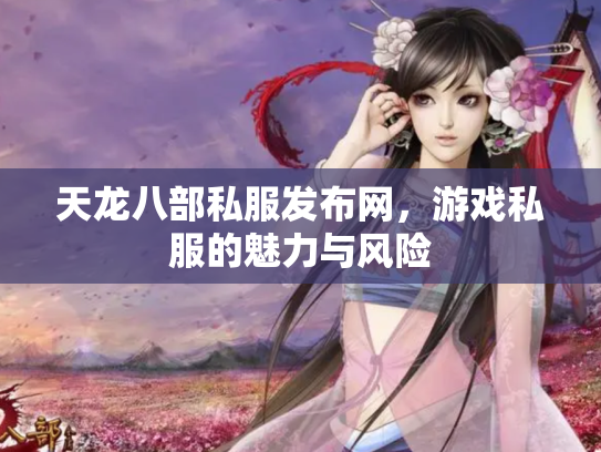 天龙八部私服发布网，游戏私服的魅力与风险