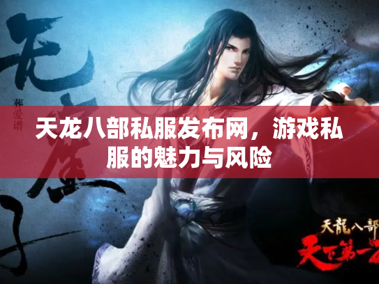 天龙八部私服发布网，游戏私服的魅力与风险