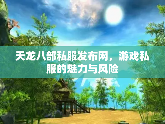 天龙八部私服发布网，游戏私服的魅力与风险