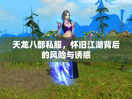 天龙八部私服，怀旧江湖背后的风险与诱惑