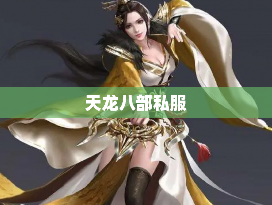 天龙八部私服