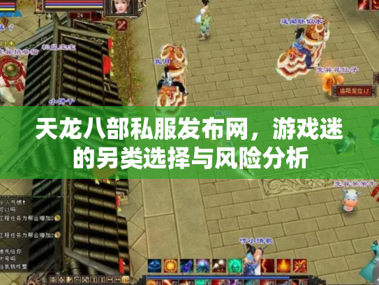 天龙八部私服发布网，游戏迷的另类选择与风险分析