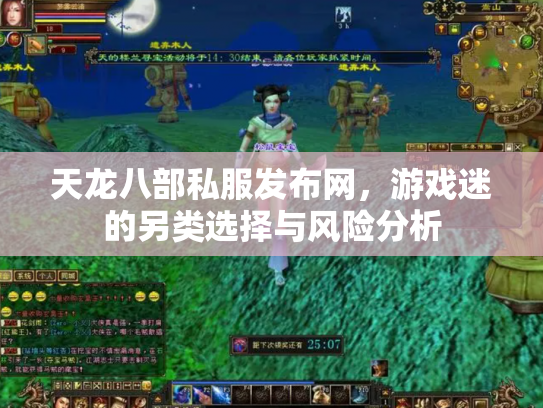 天龙八部私服发布网，游戏迷的另类选择与风险分析