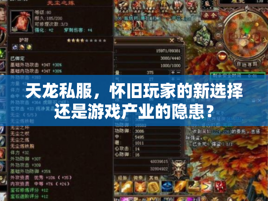 天龙私服，怀旧玩家的新选择还是游戏产业的隐患？