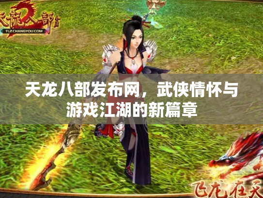天龙八部发布网，武侠情怀与游戏江湖的新篇章