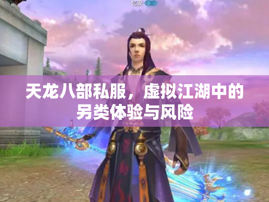 天龙八部私服，虚拟江湖中的另类体验与风险