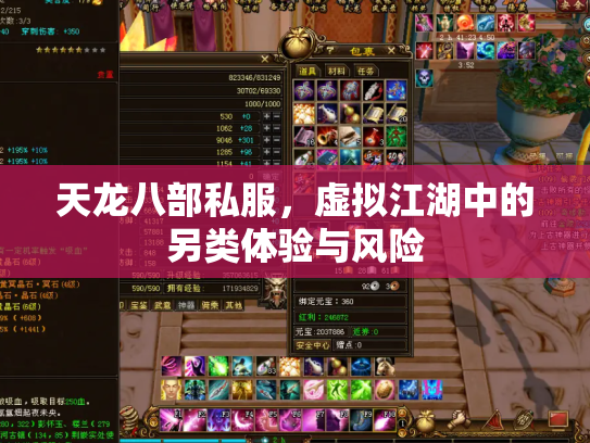 天龙八部私服，虚拟江湖中的另类体验与风险