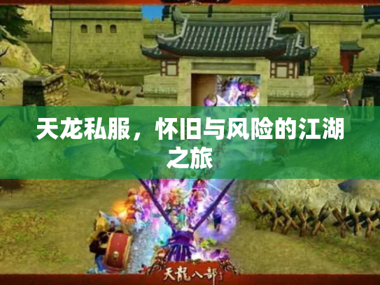 天龙私服，怀旧与风险的江湖之旅