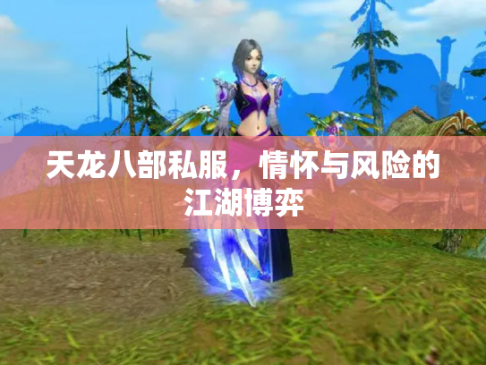 天龙八部私服，情怀与风险的江湖博弈