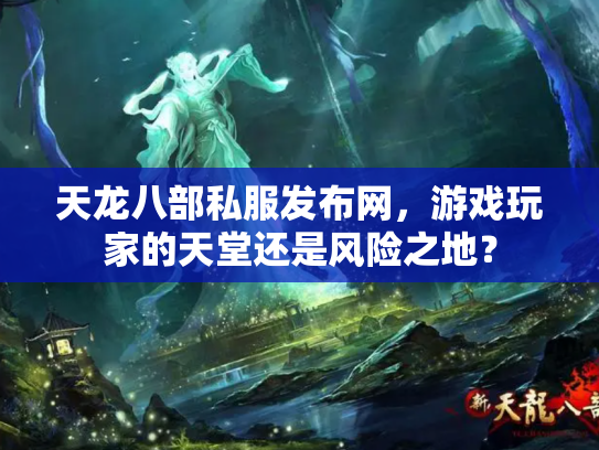 天龙八部私服发布网，游戏玩家的天堂还是风险之地？
