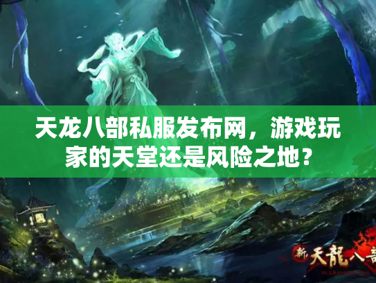 天龙八部私服发布网，游戏玩家的天堂还是风险之地？