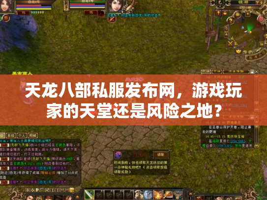 天龙八部私服发布网，游戏玩家的天堂还是风险之地？