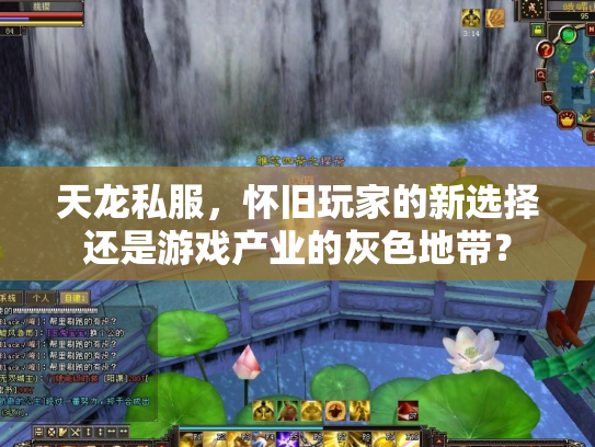 天龙私服，怀旧玩家的新选择还是游戏产业的灰色地带？