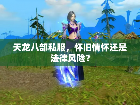 天龙八部私服，怀旧情怀还是法律风险？