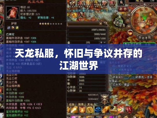 天龙私服，怀旧与争议并存的江湖世界