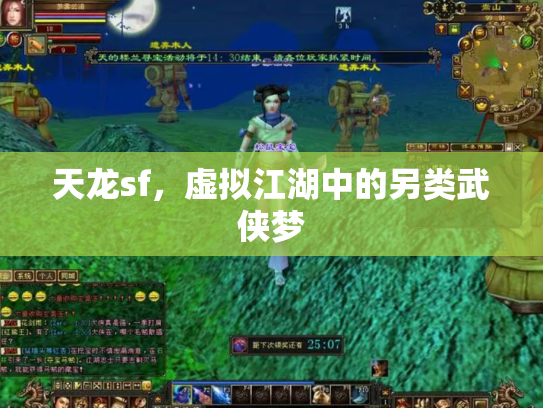 天龙sf，虚拟江湖中的另类武侠梦
