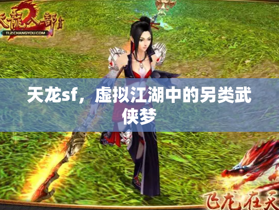 天龙sf，虚拟江湖中的另类武侠梦