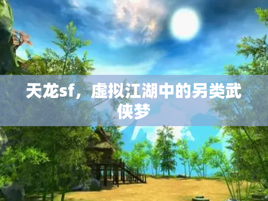 天龙sf，虚拟江湖中的另类武侠梦
