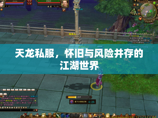 天龙私服，怀旧与风险并存的江湖世界
