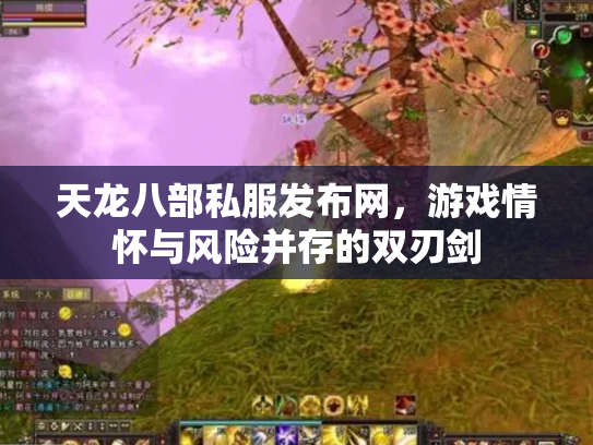 天龙八部私服发布网，游戏情怀与风险并存的双刃剑