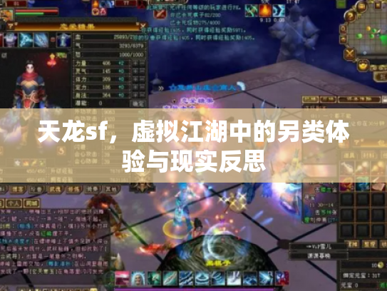 天龙sf，虚拟江湖中的另类体验与现实反思