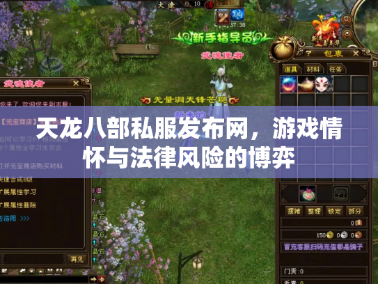 天龙八部私服发布网，游戏情怀与法律风险的博弈