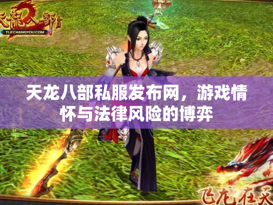 天龙八部私服发布网，游戏情怀与法律风险的博弈