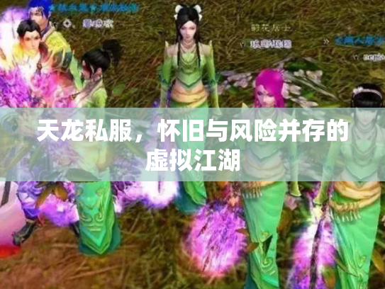 天龙私服，怀旧与风险并存的虚拟江湖