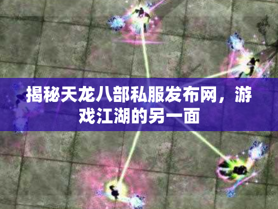 揭秘天龙八部私服发布网，游戏江湖的另一面