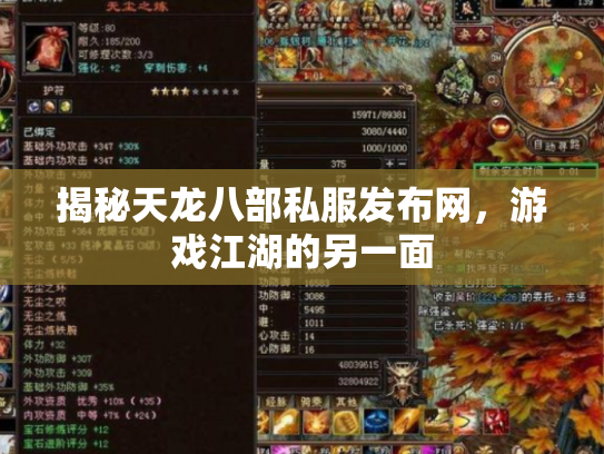 揭秘天龙八部私服发布网，游戏江湖的另一面