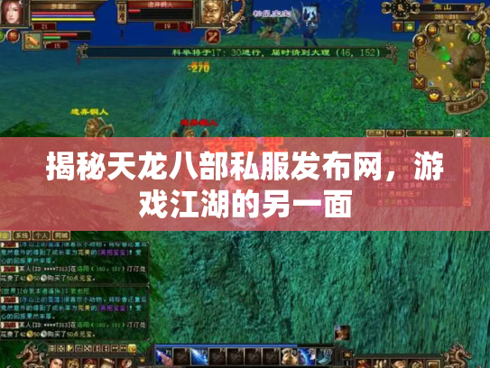 揭秘天龙八部私服发布网，游戏江湖的另一面