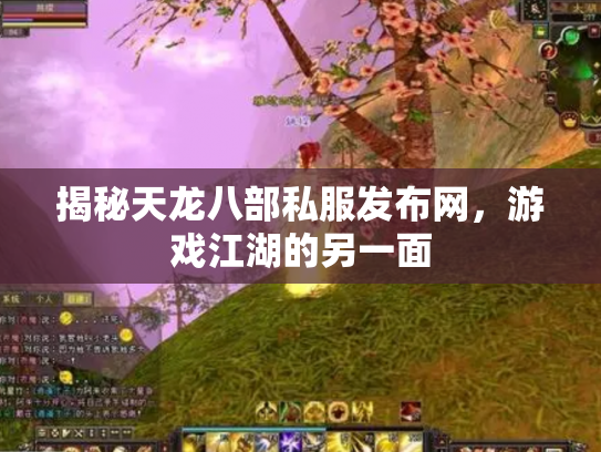 揭秘天龙八部私服发布网，游戏江湖的另一面