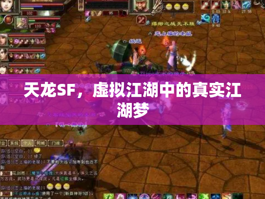 天龙SF，虚拟江湖中的真实江湖梦