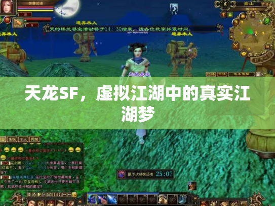 天龙SF，虚拟江湖中的真实江湖梦