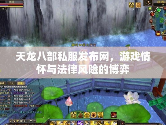 天龙八部私服发布网，游戏情怀与法律风险的博弈