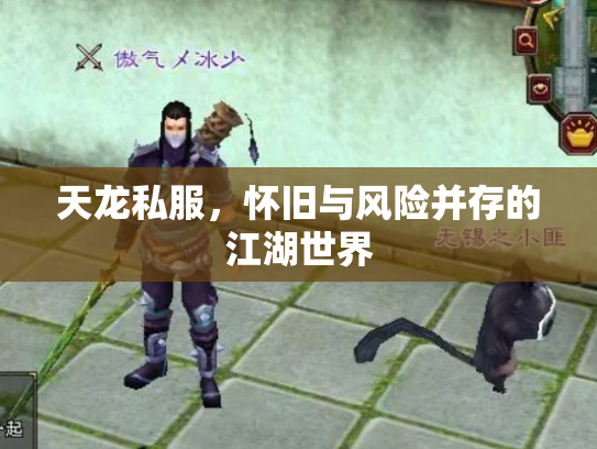 天龙私服，怀旧与风险并存的江湖世界