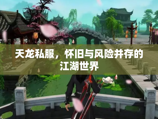 天龙私服，怀旧与风险并存的江湖世界