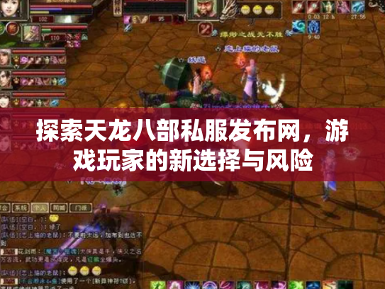 探索天龙八部私服发布网，游戏玩家的新选择与风险