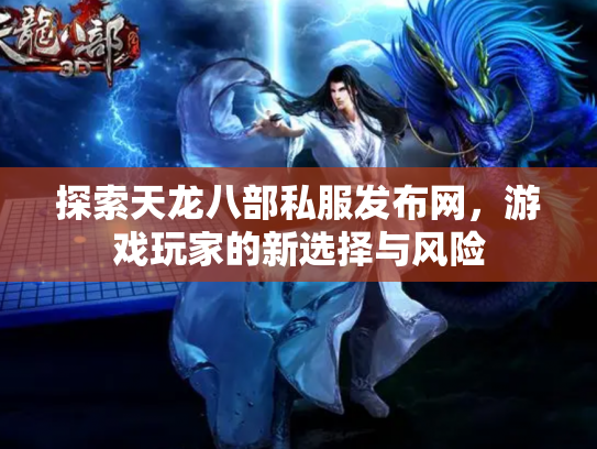 探索天龙八部私服发布网，游戏玩家的新选择与风险