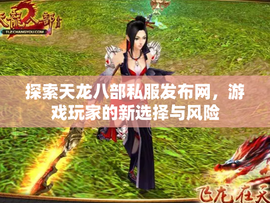 探索天龙八部私服发布网，游戏玩家的新选择与风险
