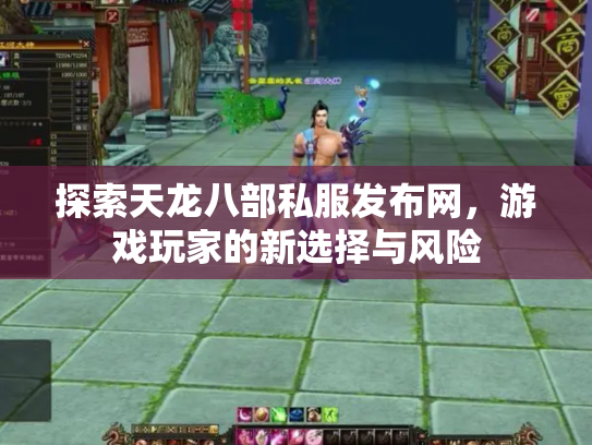 探索天龙八部私服发布网，游戏玩家的新选择与风险