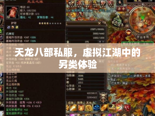 天龙八部私服，虚拟江湖中的另类体验