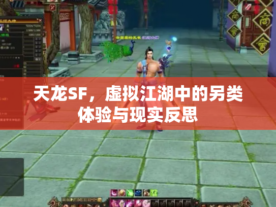 天龙SF，虚拟江湖中的另类体验与现实反思